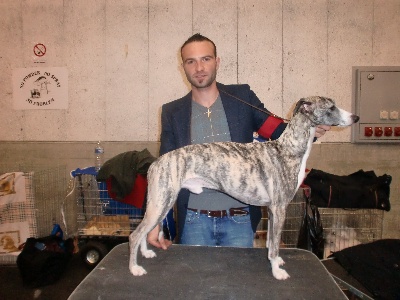 de l'orlyne de Standerling - International dog show  Fribourg 2010