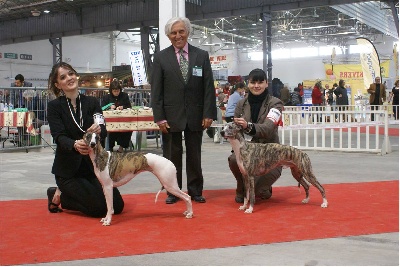 de l'orlyne de Standerling - International dog show  Marseille  2010