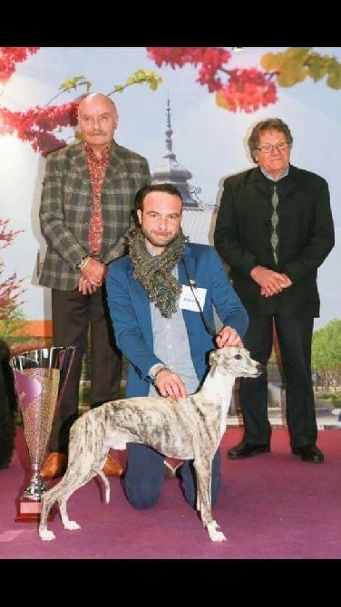 de l'orlyne de Standerling - BEST IN SHOW Valence 2016