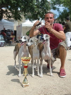 de l'orlyne de Standerling - Meilleur lot d'elevage Pierrelatte 2010