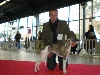  - Paris dog show 2009