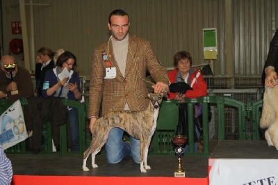 de l'orlyne de Standerling - Rouen 2009