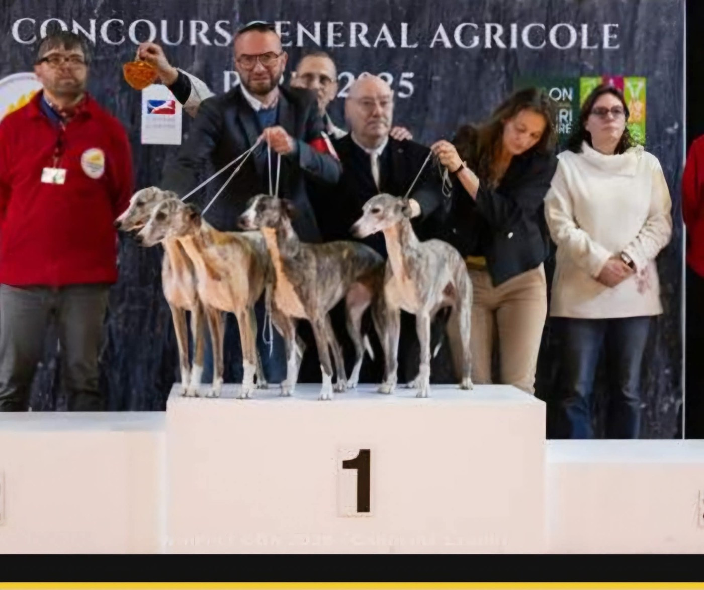 Concours Général Agricole Paris 2025