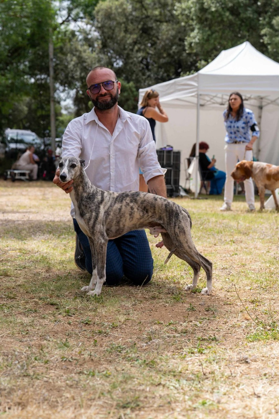 Champion Vétéran de France, National d'exposition, Monaco 2025