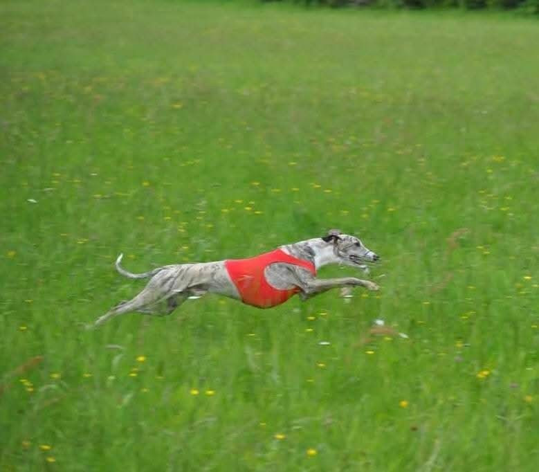 Lauréat beauté Performance 2025